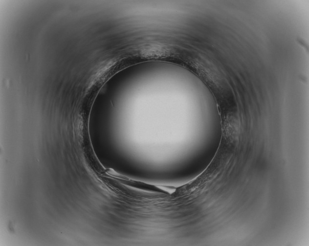X0000097670448200802291504