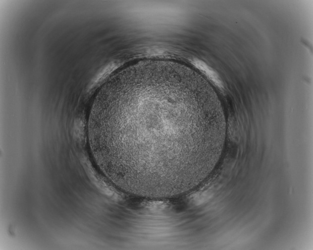 X0000097670449200802291504