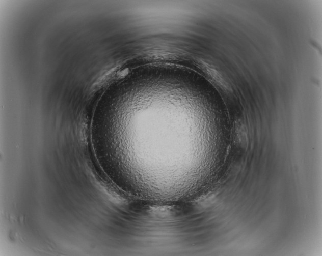 X0000097670450200802291504