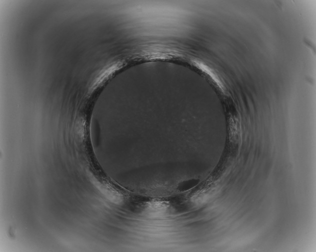 X0000097670451200802291504