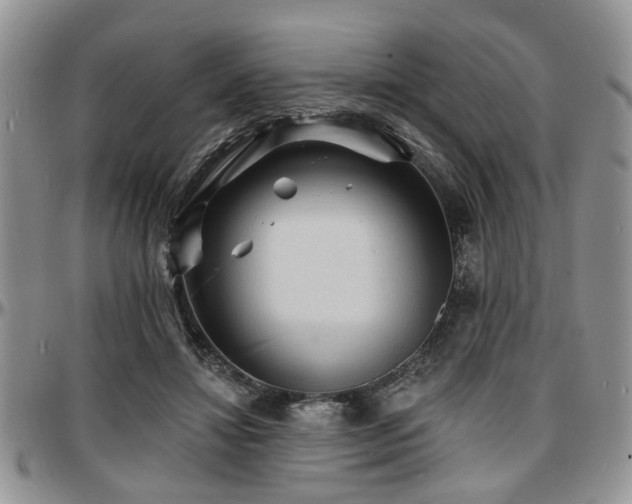 X0000097670452200802291504