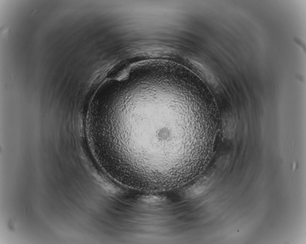X0000097670453200802291504