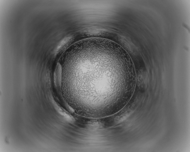 X0000097670454200802291504