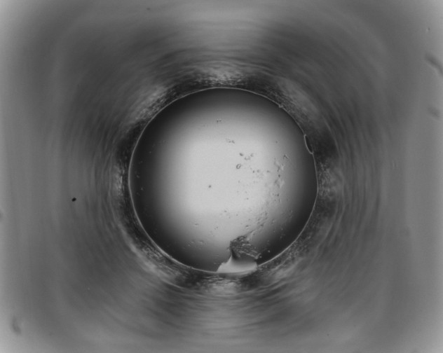 X0000097670456200802291504