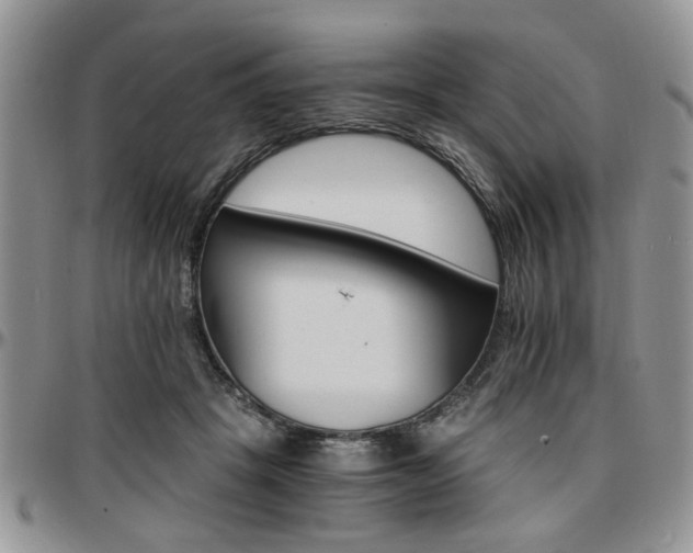 X0000097670457200802291504