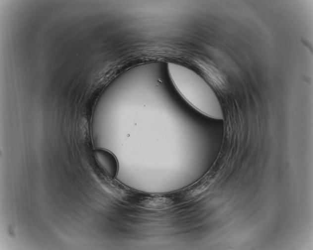 X0000097670459200802291504
