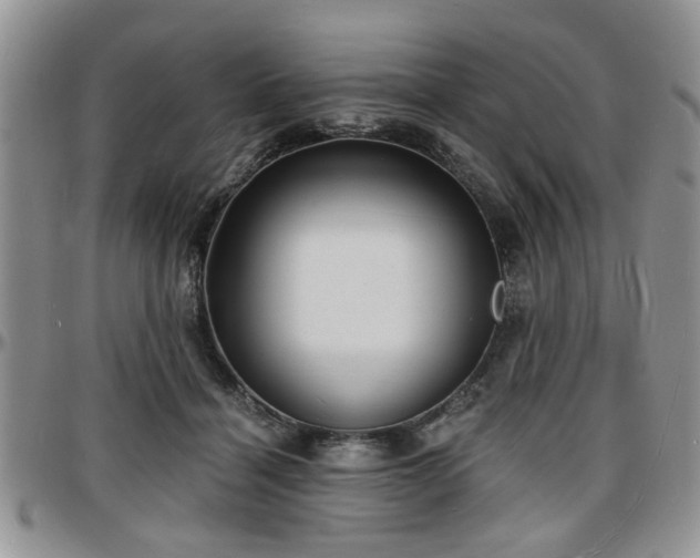X0000097670460200802291504