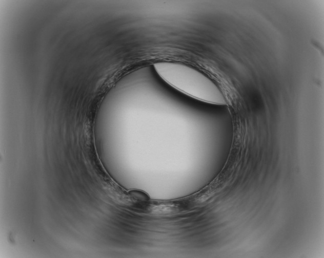 X0000097670461200802291504