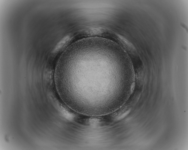 X0000097670462200802291504