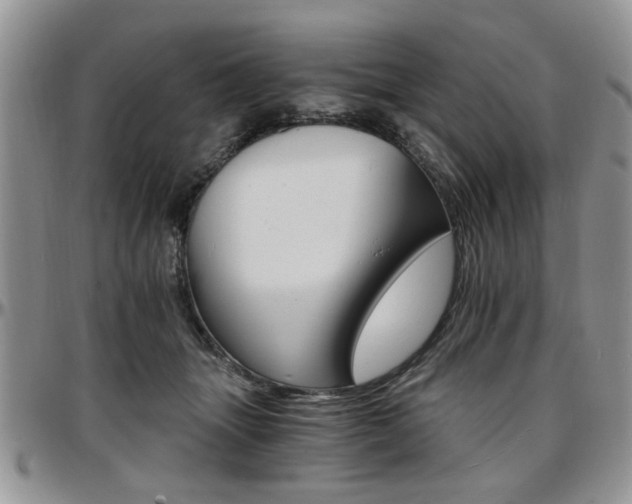 X0000097670463200802291504