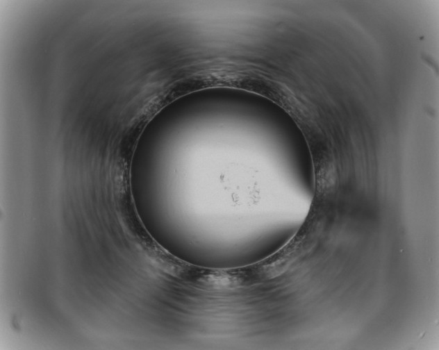 X0000097670464200802291504