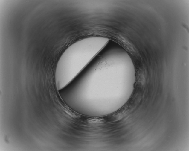 X0000097670465200802291504