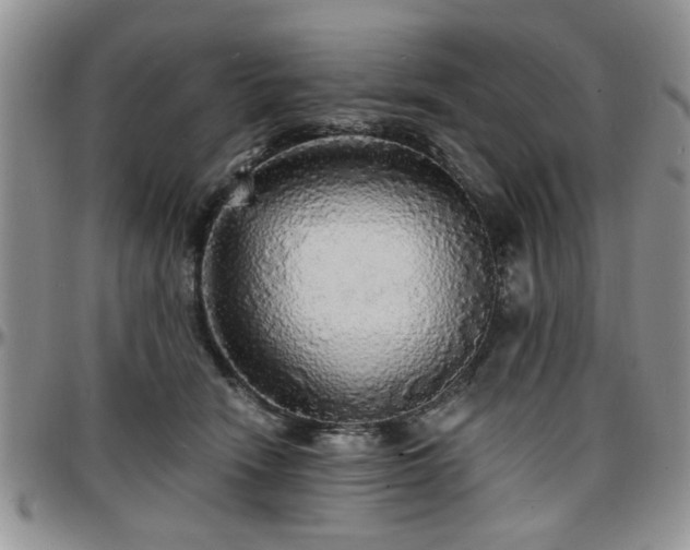 X0000097670466200802291504