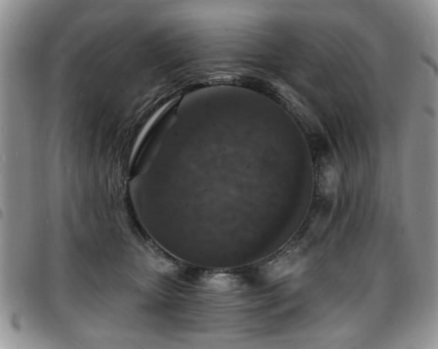 X0000097670467200802291504