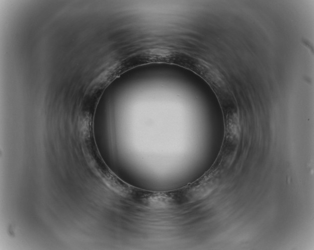 X0000097670468200802291504