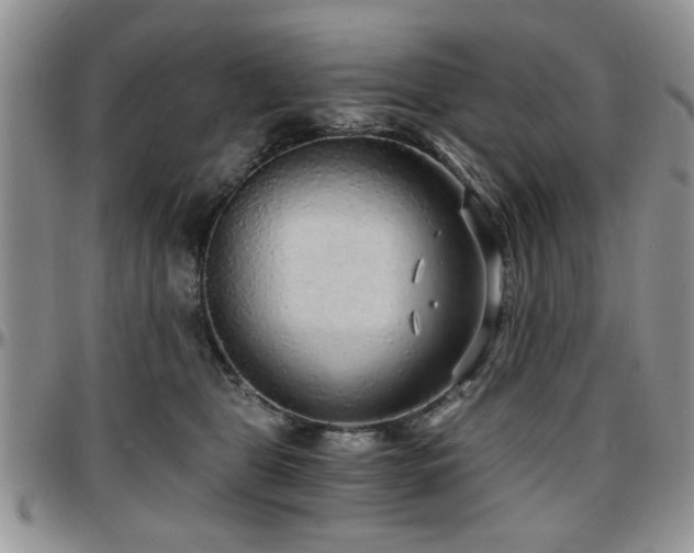 X0000097670469200802291504
