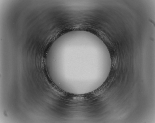 X0000097670470200802291505
