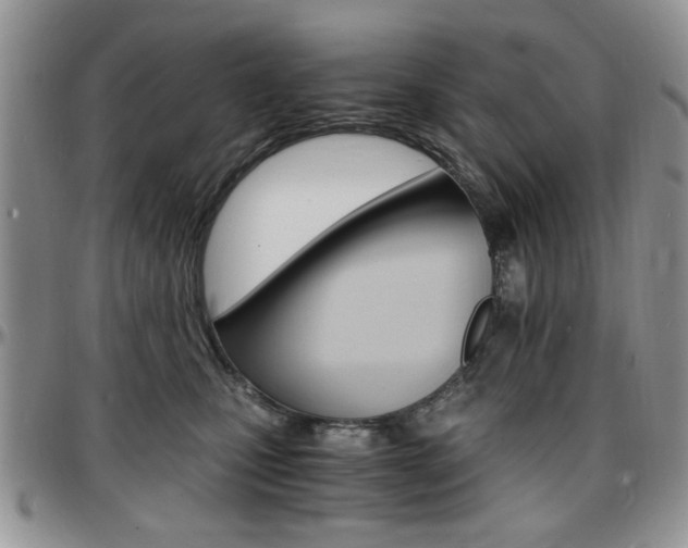 X0000097670471200802291505