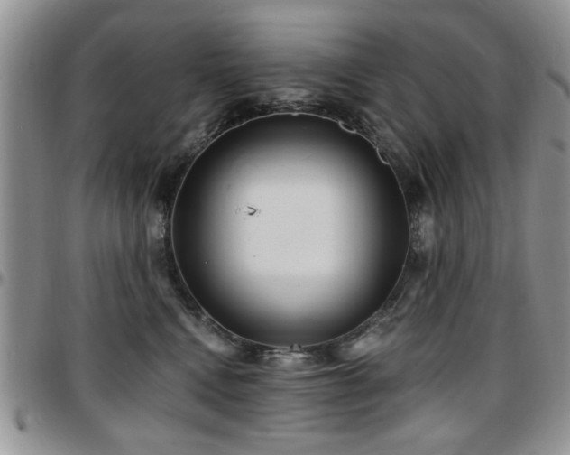 X0000097670472200802291505