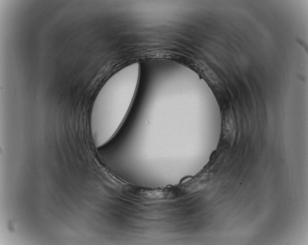 X0000097670473200802291505