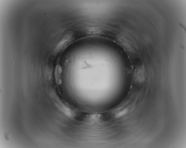 X0000097670474200802291505