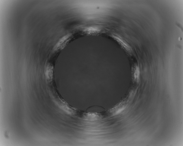 X0000097670475200802291505