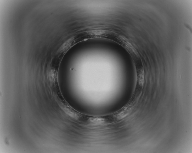 X0000097670476200802291505