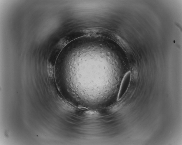 X0000097670477200802291505