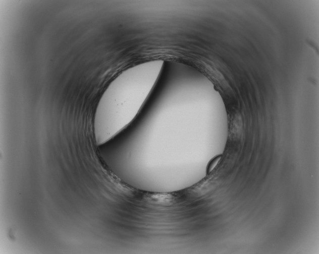 X0000097670478200802291505