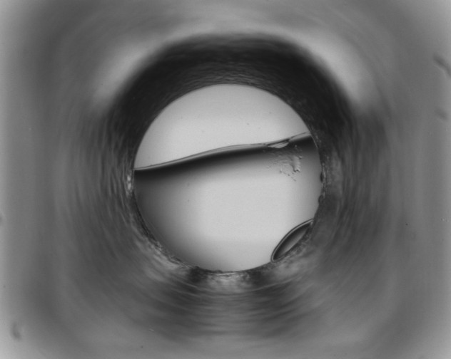X0000097670479200802291505