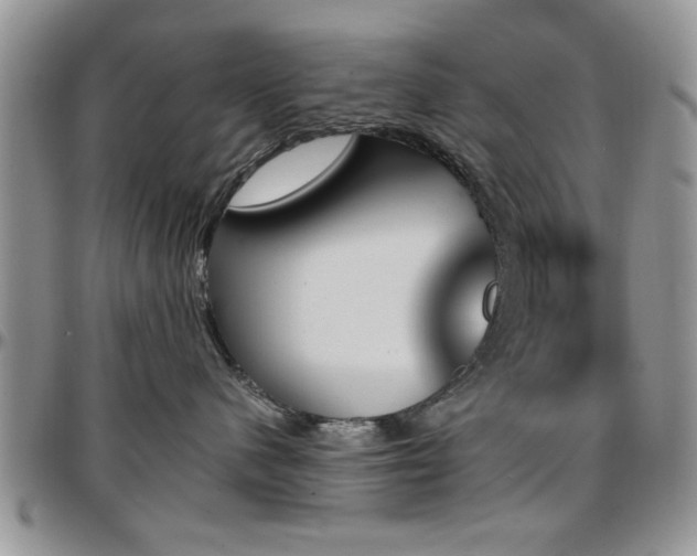 X0000097670480200802291505