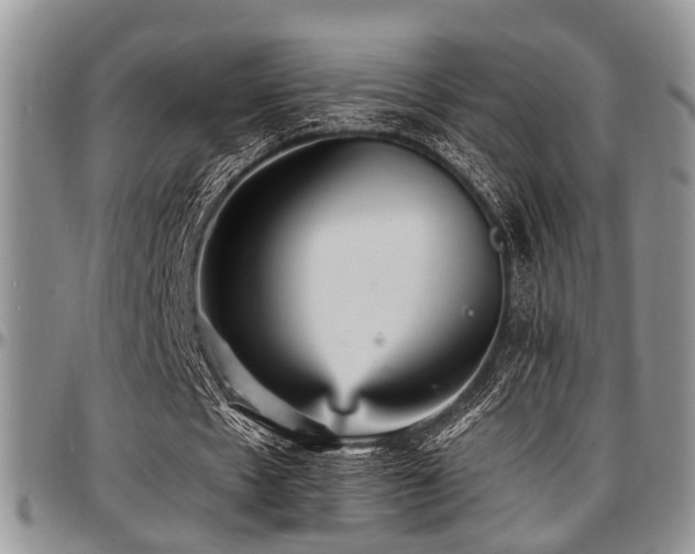 X0000097670481200802291504