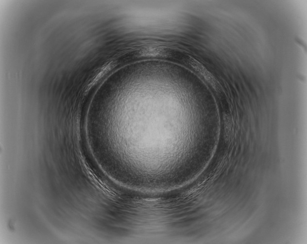X0000097670482200802291504