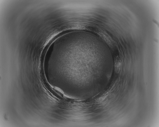 X0000097670484200802291504