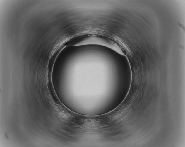 X0000097670486200802291504