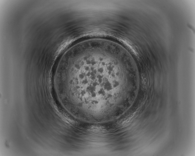 X0000097670487200802291504