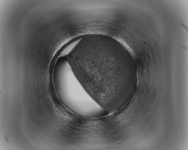 X0000097670488200802291504