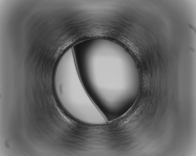 X0000097670489200802291504