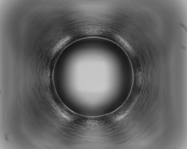 X0000097670490200802291504