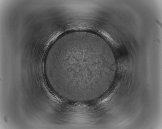 X0000097670491200802291504