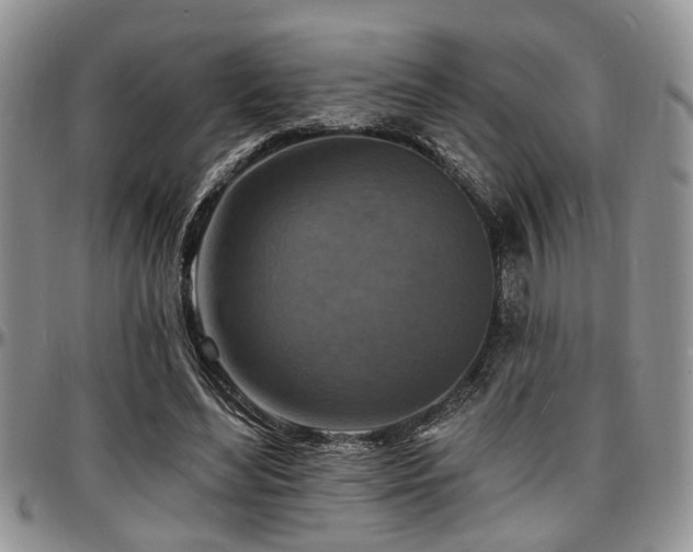 X0000097670492200802291504