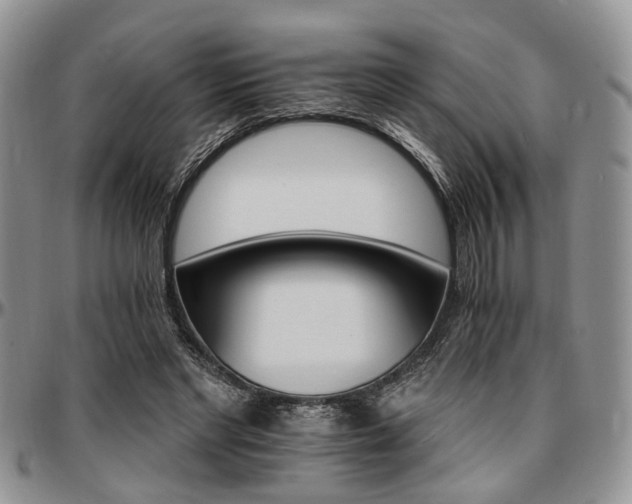 X0000097670493200802291504
