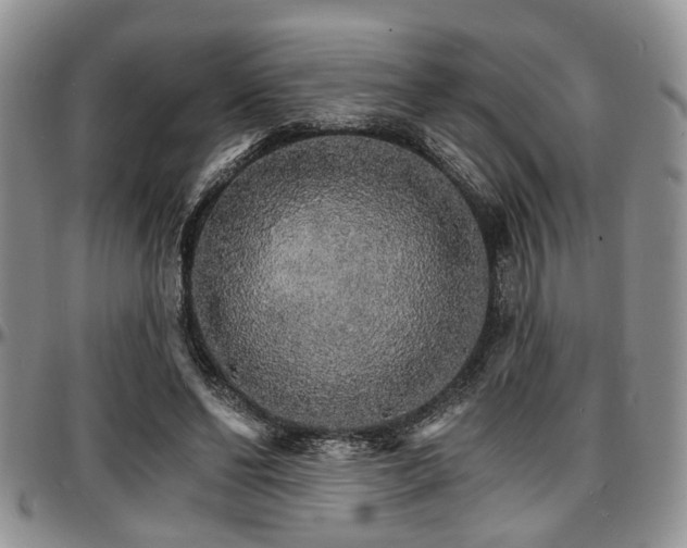 X0000097670494200802291504