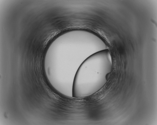 X0000097670495200802291504