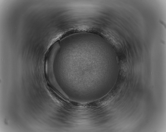 X0000097670496200802291504