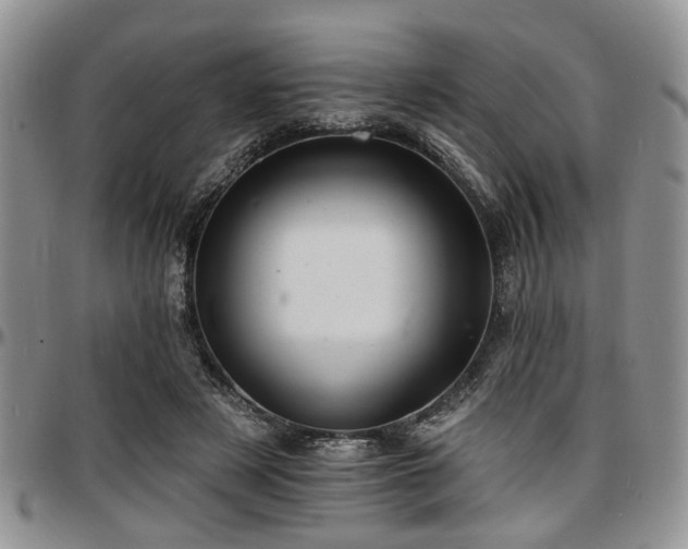 X0000097670497200802291504