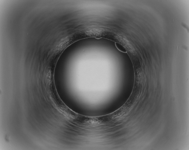 X0000097670498200802291504