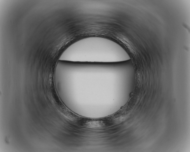 X0000097670499200802291504