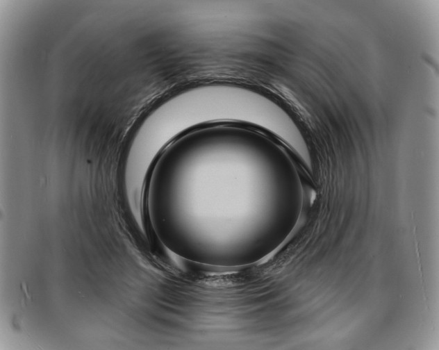 X0000097670500200802291504