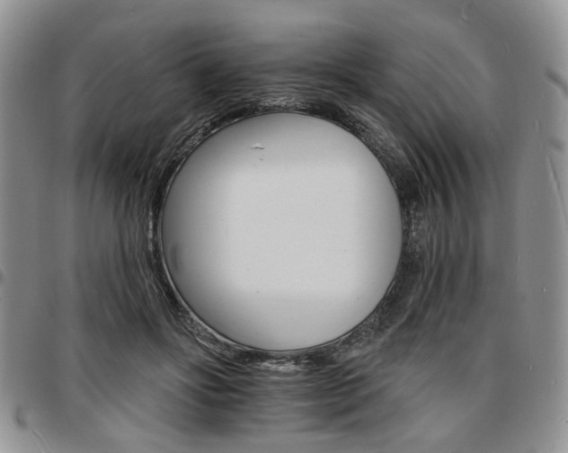 X0000097670502200802291504